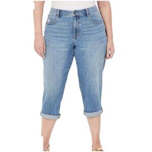 Lane Bryant Boyfriend Jeans, Capris, Rolled Cuff, 18" to 21" Distressed, Size 20